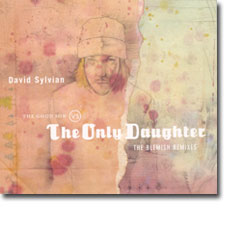 David Sylvian CD cover