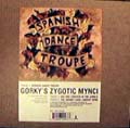 Gorky's Zygotic Mynci