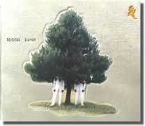 Tosca Delhli 9 CD cover