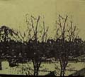An Evening in the Company of Vespertine